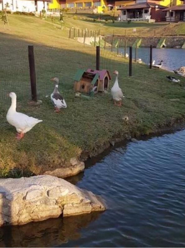 Gravata Apartamento Winterville Екстер'єр фото